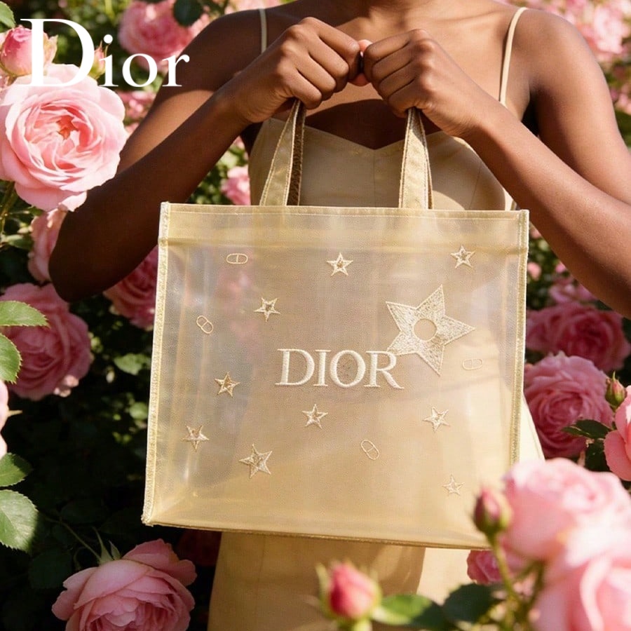 Christian Dior Dior's Tasche L – Luxury Skincare Brand Bewertung und Preis